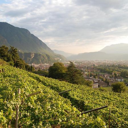 Weingut Messnerhof Daire Bolzano Dış mekan fotoğraf