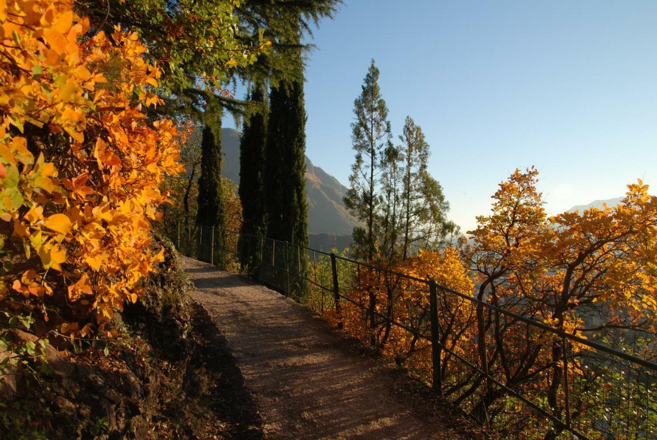 Weingut Messnerhof Daire Bolzano Dış mekan fotoğraf