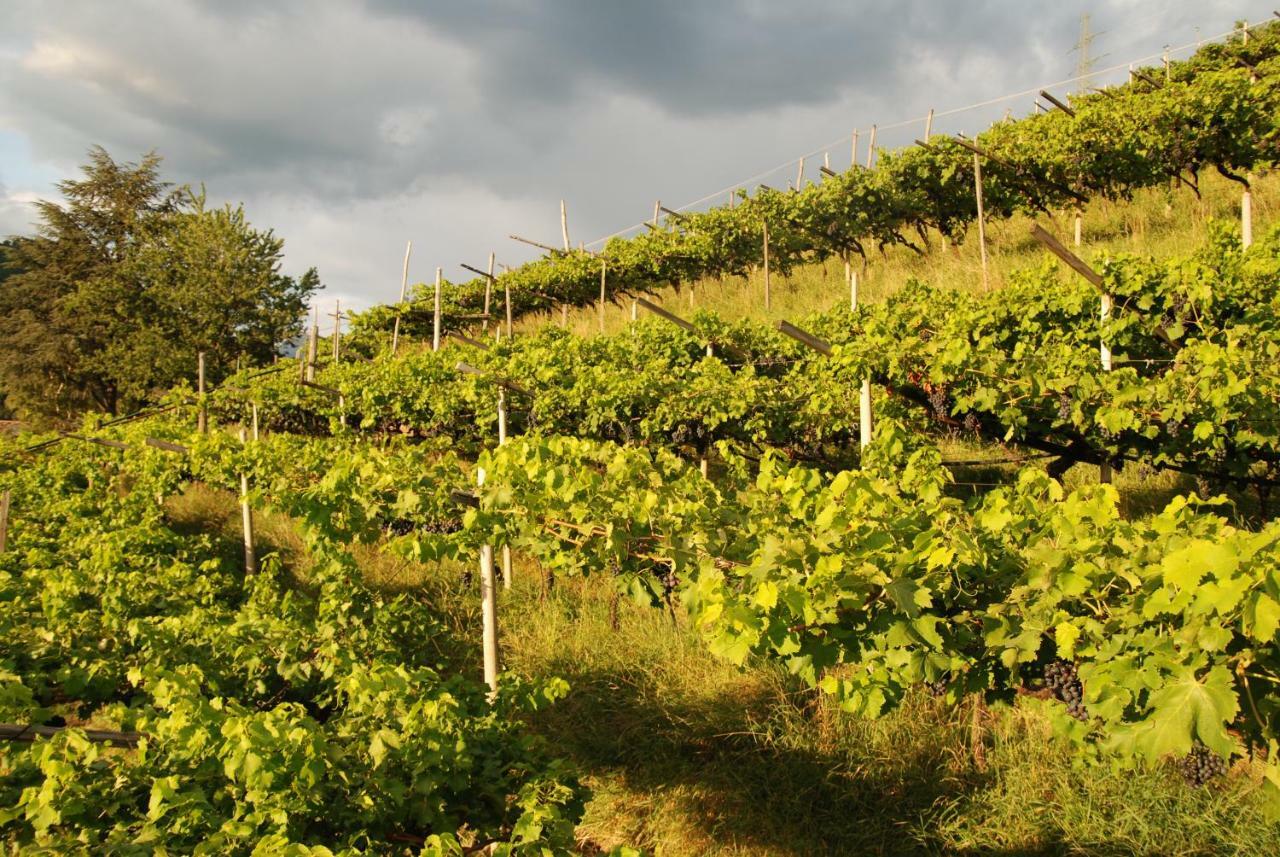 Weingut Messnerhof Daire Bolzano Dış mekan fotoğraf