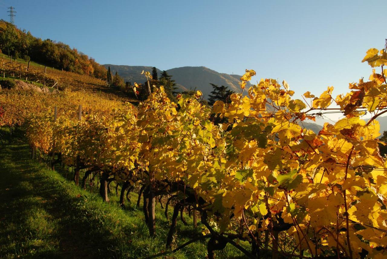 Weingut Messnerhof Daire Bolzano Dış mekan fotoğraf