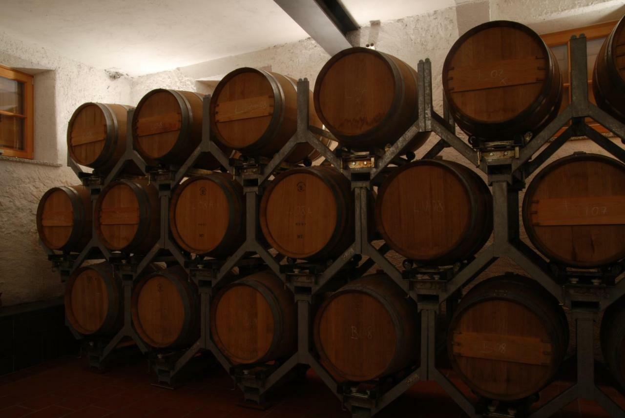 Weingut Messnerhof Daire Bolzano Dış mekan fotoğraf