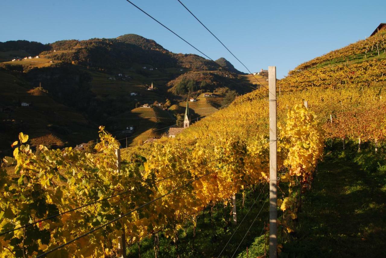 Weingut Messnerhof Daire Bolzano Dış mekan fotoğraf